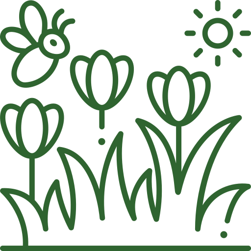 flower garden